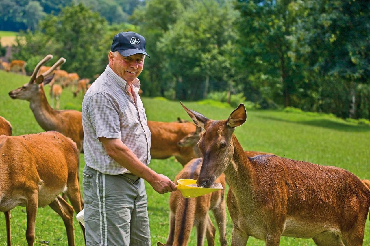 Gaestezimmer Buchegger Krumbach  외부 사진